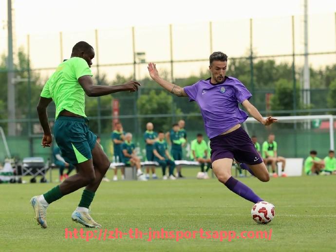 金年会app-法甲外援技术数据构成与表现对比分析图谱